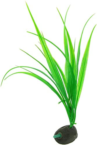 XYZOOM Plastic Aquarium Decor Air Stone Micro Sword Plant, 9.8-Inch, Green(3ede0 28e9c 39005 a8b07 68a6c fd467
