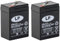 Batteria ricaricabile Landport 6 V 4,5 Ah (20 ore/disc.) per sicurezza - Tecnologia VRLA AGM/Modello NSA LP6-4.5 T1 - Confezione da 2 pezzi