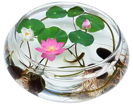Generic Pot de fleurs hydroponique en verre transparent, aquarium circulaire, pot de fleurs en verre, vase en verre, récipient de fleurs transparent pour décoration d'aquarium, A, M