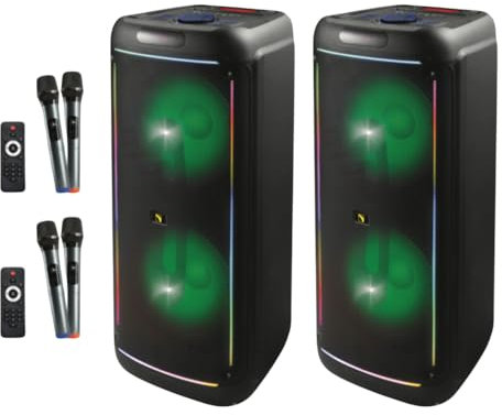 Intimidation 2x BEELINE BL215 2000W Twin 15 PA Speaker