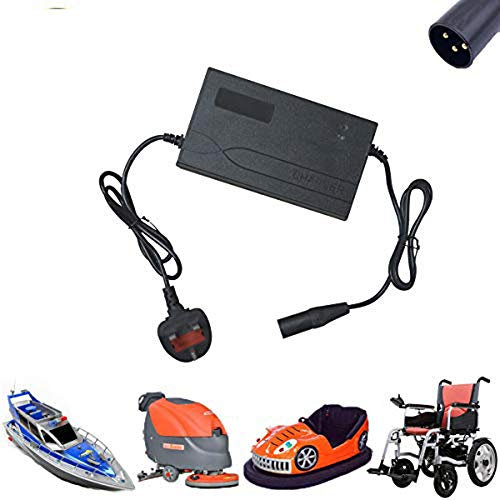 Riloer Battery Charger Automotive Jump Starter - Trickle Battery Portable Charger Maintainer,24V 5A,Car Motorcycle Boat