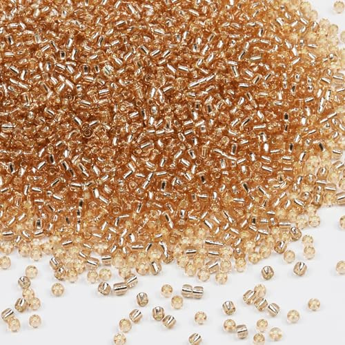 Tibaoffy Transparent Champagne with Silver Lined Beads Size 8/0 Crafts Glass Seed Beads 3mm for Jewelry Making (Total About 100g About 3600pcs)