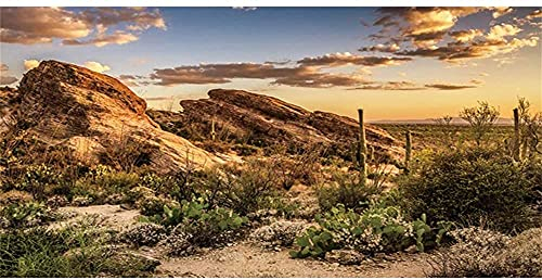 AWERT Reptilien-Habitat-Hintergrund, blauer Himmel-Oasis, Kaktus, Sonne und Wüsten-Terrarium, 183 x 40,6 cm, robuster Polyester-Hintergrund