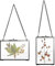 SUMTree 2 marcos de fotos de cristal y metal, para colgar cristal, marco de fotos de plantas, clip para flores prensadas, solo marco de cristal (negro, 10 x 15 cm, rectangular)