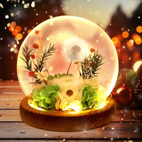Ewige Rose im Glas mit LED-Licht, Weiß Pusteblume Konservierte Blumen, Infinity Rosen als Geschenke für Frauen, Konservierte Echte Rosen Geschenke für Mama Ehefrau Weihnachten Valentinstag Geburtstag