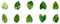SAMCRY 50 Stück Blätter Aufkleber selbstklebend DIY Scrapbooking Aufkleber Planer handgefertigt Stick Etiketten Collage Material Blatt Aufkleber-D