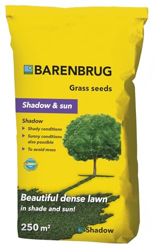 Barenbrug Shadow - Erba all'ombra 5 kg Semi di erba per aree ombreggiate