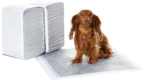 Amazon Basics Trainingspads für Hunde und Welpen mit Kohlenstoff zur Geruchskontrolle, auslaufsicheres Design mit schnell trocknender Oberfläche, Normal (120 Stück), Grau