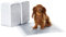 Amazon Basics Tappetini al carbone con controllo degli odori per l'addestramento di cani e cuccioli,prova di perdite con superficie ad asciugatura rapida,dimensione standard,confezione da 120,grigio