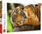 Trefl 916 37397 EA 500pcs Tiger, Multicoloured, Tigerporträt