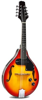 Mandolin Instrument Kit Acoustic Mandolin 8-String Electric Mandolin Spruce Glossy Panel(Electric)