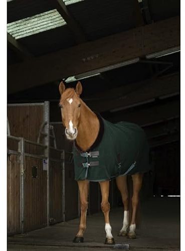 Abschwitzdecke mit Polarfleece Teddy EquiTheme grün/braun 125cm