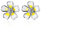 Damen-Ohrringe, 1 Paar Damen-Schmuck, Plumeria-Blumen-Ohrstecker, 925er Silber, Damenmode, Elegante Party-Ohrringe, Accessoires, Ohrringe