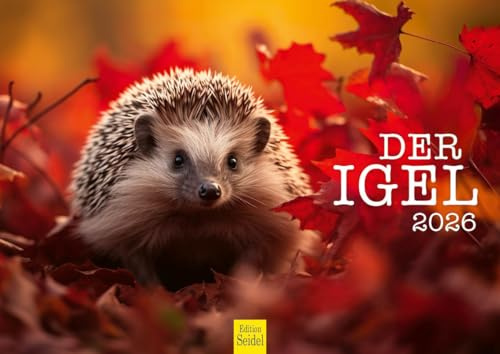 Edition Seidel Premium Kalender Der Igel 2026 Format DIN A4 Wandkalender Tierkalender Tier Wald heimische Wildtiere Waldtiere