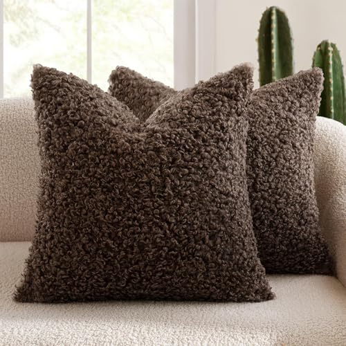 DRADERCH 2er Set Curly Teddy Wolle Faux Pelz Werfen Kissenbezug Abdeckungen | Sofakissen, Couchkissen, Dekokissen, Zierkissenbezug, Deko Kissenhülle, Wohnzimmer, 40x40cm, Schokoladenbraun