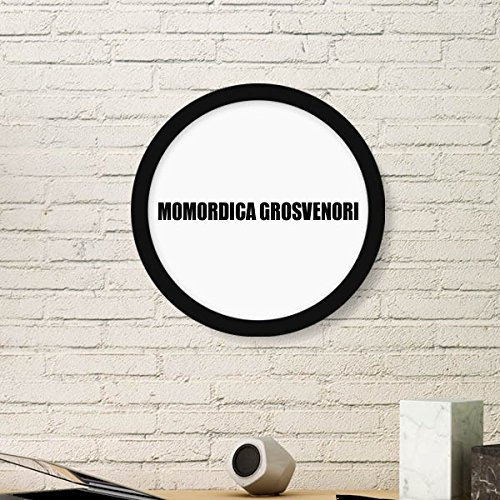 DIYthinker Momordica Grosvenori Obst Peinture Alimentaire Cadre Rond en Bois