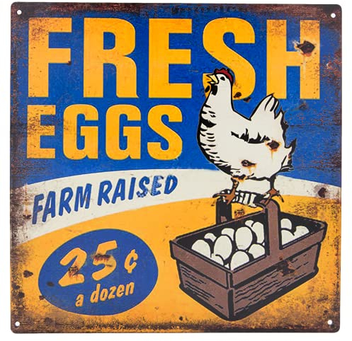 Fresh Eggs - Hühnerstall Blechschild, Marktschild, Wandschild, Dekoration 30 x 30 cm