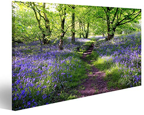 Prime Bild auf Leinwand Blumen im Wald - Leinwand Bilder Lavendel in verschiedenen Formaten für Wohnzimmer, Schlafzimmer oder