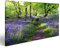 Prime Bild auf Leinwand Blumen im Wald - Leinwand Bilder Lavendel in verschiedenen Formaten für Wohnzimmer, Schlafzimmer oder