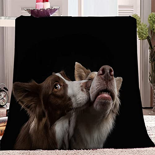 SJSXWQN Decke Schwarzer Hund Kuscheldecke Flauschig für Bett und Sofa Extra Weich Warme Mikrofaser Wohndecke Fleecedecke als Sofadecke Couchdecke Kuscheldecke - 180x200 cm