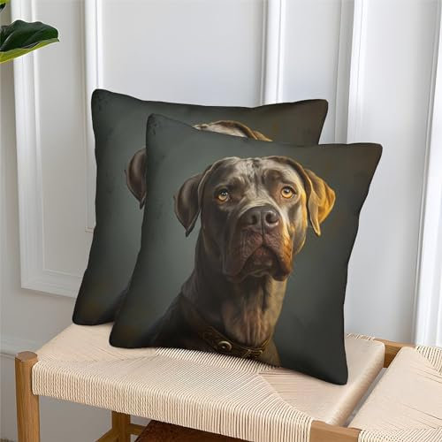 ARTSDIYS Labrador Tier Kissenbezug 2er Set, Thema Deko Kissenhülle Sofa Haustier Kissenbezüge Outdoor Garten Versteckter Reißverschluss Innen Deko 45x45cm