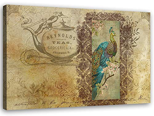 Leinwandbild XXL Pfau Wandbild Kunst Vogel Braun 120x80 cm