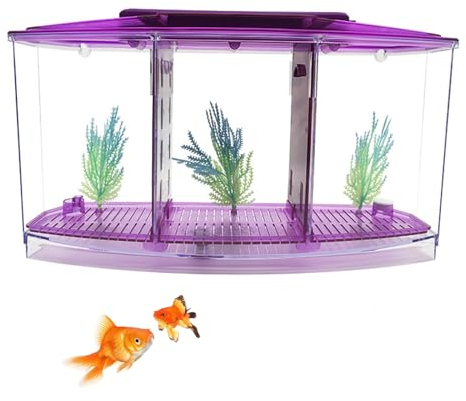 Fischzuchtbox, Aquarium-Isolationsbox, 27 X 8,5 X 16 cm, Acryl-Zuchtbrüterei, Brutkasten Für Kleine Fische, Mini-Aquarium Mit DREI Unterteilungen Und LED-Licht,Lila