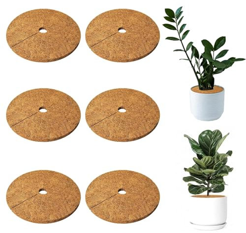 6 Stück Kokosmatte Pflanzenschutz, 35cm Kokosscheibe, Kokosmatte Winterschutz für Pflanzen,Pflanzenschutz Frostschutz Kälteschutz Schutz vor Nässe und Frost