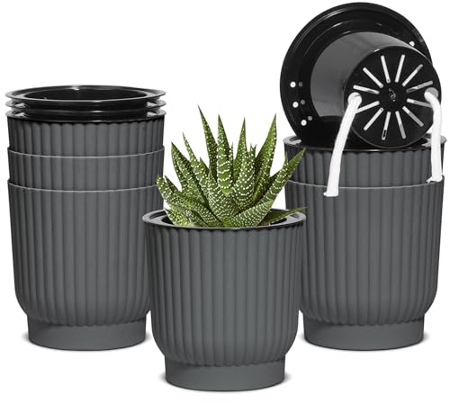 T4U 4 Inch Self Watering Pots 6 Pack, Plastic Plant Pots with Holder, Windowsill Flowers Pots for All Indoor Outdoor Plants, African Violets (Grey)