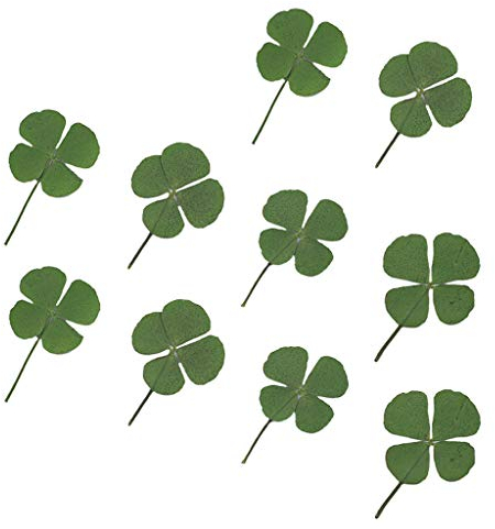 SOUTHJIELING 10 Stück getrocknete vierblättrige Kleeblatt-Harz-Formfüller, Seife, Kerzen, Füllmaterial, Basteln, UV-Zubehör, Heimdekoration