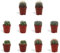 DutchLeafs Kugelkaktus Mix 10 Stück Verschiedene Mini-Kakteen - Topf 5,5 cm - Mammillaria Kaktus Kleine Pflanzen Sammlung Pflegeleichte Zimmerpflanzen - Höhe 8-15 cm