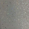 DBS Grey Sparkle PVC Bathroom Cladding Ceiling Panels Shower Wet Wall Kitchen (10 Panels)
