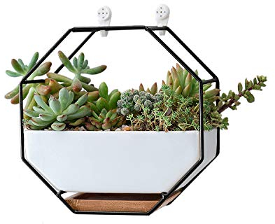 VanEnjoy Macetas de Pared de cerámica Blanca de 7 Pulgadas, jarrón y Cobre, Agujero de Drenaje con Bandeja de bambú, Maceta suculenta para Plantas de Aire, Mini Cactus Flores Artificiales Colgantes