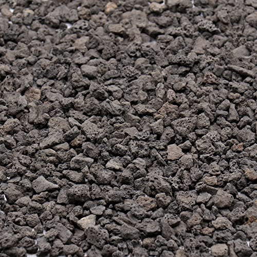 Premium Pebbles Vulkangestein für Pflanzen Schwarzes Lavastein 1/5 Zoll - 0,9 kg für Blumenerde, Sukkulenten, Töpfe, Pflanzen, Innen, Basteln, Vasenfüller (Mini (0,2 Zoll), Gartenbau - Schwarze Lava,