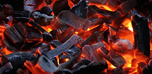 Generico Holzkohle Kamin und Gitter 10 kg Made in Italy Romagna