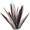Durratou Rustikale Skulptur Rustikale Handbemalte Metall Agave Garten Kunst Dekoration 65CM 1 STÜCKE