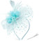 DRESHOW Fascinators Hut Feder Stirnband Damen Fascinators Tee Party Kopfbedeckung mit Clip Blume Stirnband für Mädchen & Damen