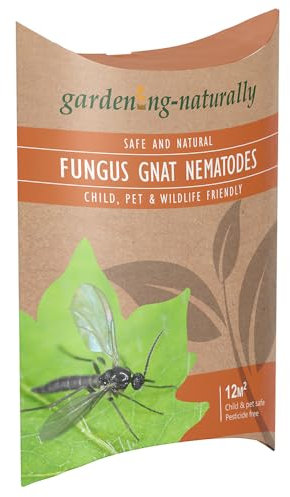 Fungus Gnat Nematodes for Houseplants and Indoor Plants – Natural Soil Drench Treatment for Fungus Gnat Larvae in Compost – Treats up to 12 sq.m