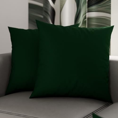 PETTI Artigiani Italiani - 2er-Set Kissenbezüge 40x40 cm aus Mikrofaser, Dekokissen-Bezüge für Schlafzimmer und Sofa, Set mit 2 Kissenhüllen, Einfarbiger Kissenbezug Grün, 100% Made in Italy