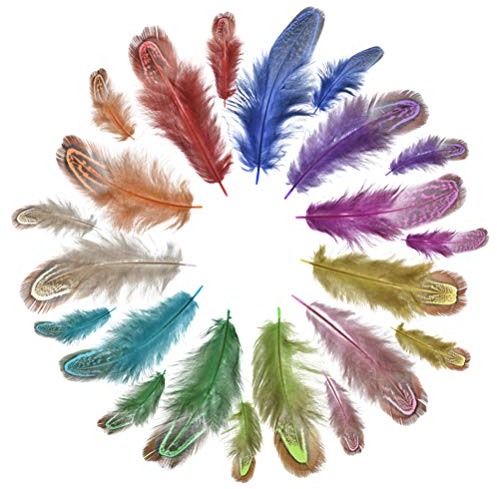 Jerbro 100 PCS Multi Colours Feathers, Natural Soft Fluffy Pheasant Feather for DIY Arts Crafts Birthday Wedding Festival Party Masks Making Home Wedding Decoration