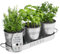Barnyard Designs Lot de 3 Pots de Fleurs à Herbes aromatiques avec Plateau pour l'intérieur ou l'extérieur, en métal galvanisé pour la Cuisine, 11 x 10 cm sur 32 x 10 cm
