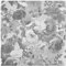 murando PREMIUM Vlies Tapete Blumen - Deko Panel Fototapete Wanddeko 10 m Tapetenrolle Mustertapete Wandtapete modern design Dekoration - Rosen Betonoptik grau b-A-0437-j-a