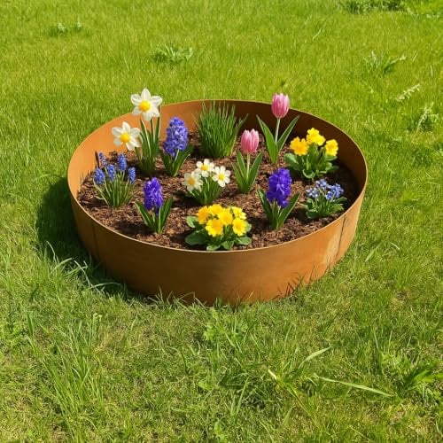 Czaja Pflanzringe 2 Stück Ø 100 x 30 cm Hoch Edelrost - Hochbeet Rost Pflanzgefäß Pflanzkübel Metallring Kräuterbeet Stahlring Stahl Ring