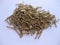 Made in UK 1/32 Dia 1/4 Long Round Head Solid Brass Rivets Model steam Boiler, 50