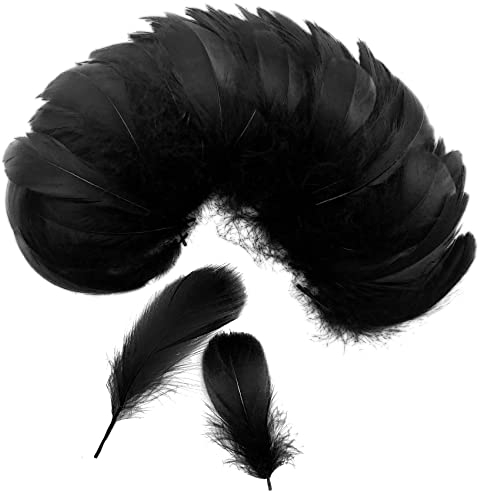 Audamp Federn 300 Stück Schwarz Federn zum Basteln für DIY Ohrring, Hochzeit, Traumfänger, Kopfschmucksfedern