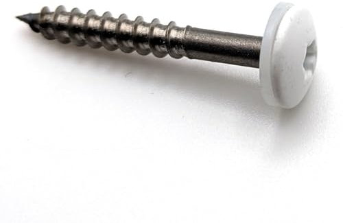 Vis pour panneaux de façade 4,8x38 mm RAL 9016 blanc signalisation avec rondelle nylon Inox A2 par 50