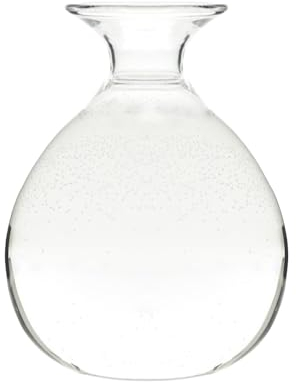 Generisch Avocado-Vase Aus Glas - Transparentes Samen-Starter-Pflanzgefäß, Baum-Anzuchtset, Tischdekoration, Behälter, Zubehör, Geschenke