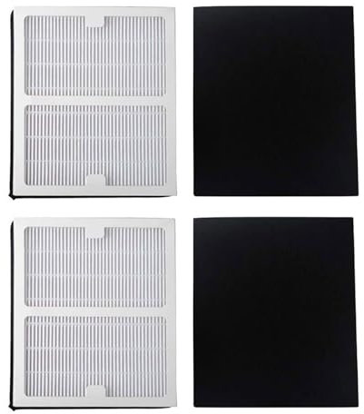 BAYORE 2 Set Luftreiniger Filter Ersatz Luftreiniger Filter Kunststoff Luftreiniger Zubehör Für H 100B IAP-10-125 Modelle Luftreiniger Filter Ersatz