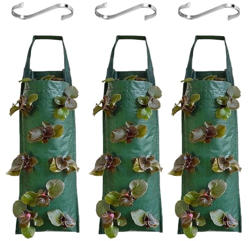 DAZZTIME Sac de Plantation pour Fraise,3 Pièces Sacs de Culture à Fraises Suspendu,Sac de Plantation,avec 8 Trous,Sac de Culture Potager,Réutilisable pour Fraises,Légumes,Fleurs