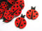 YYCRAFT Packung mit 40 gepolsterten Filz-Marienkäfer-Applikationen (3,8 cm, rot)